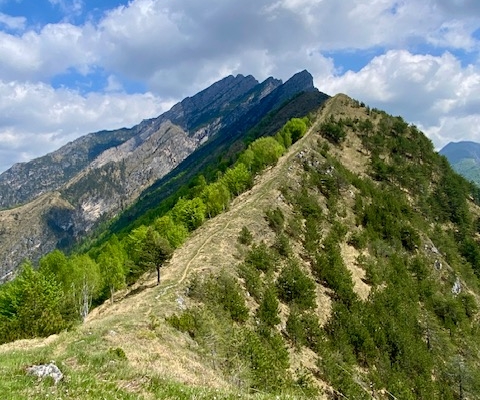 Creste di San Gualberto - Claut (4)